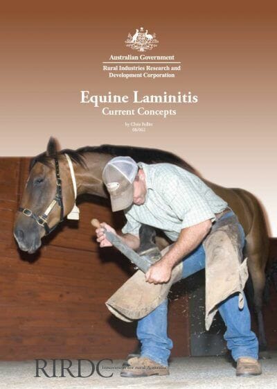 Equine Laminitis, Current Concepts