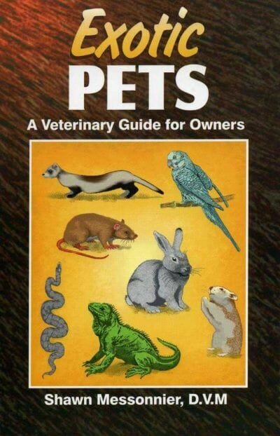 Exotic Pets: A Veterinary Guide for Owners