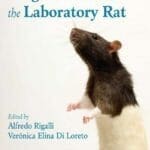 Experimental-Surgical-Models-in-the-Laboratory-Rat