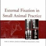 External Fixation in Small Animal Practice PDF