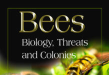 Bees Biology, threats, and Colonies Bees Biology, threats, and Colonies