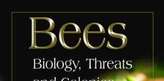 Bees Biology, threats, and Colonies