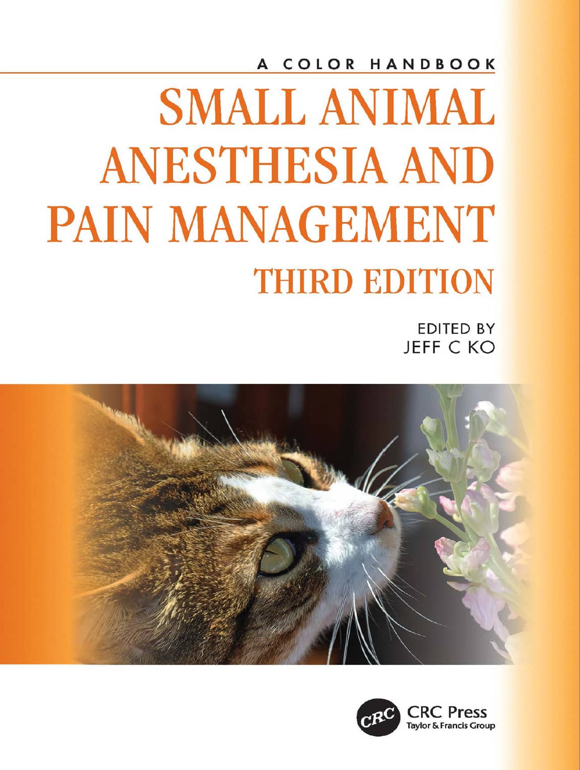 Small Animal Anesthesia And Pain Management A Color Handbook 3Rd Edition
