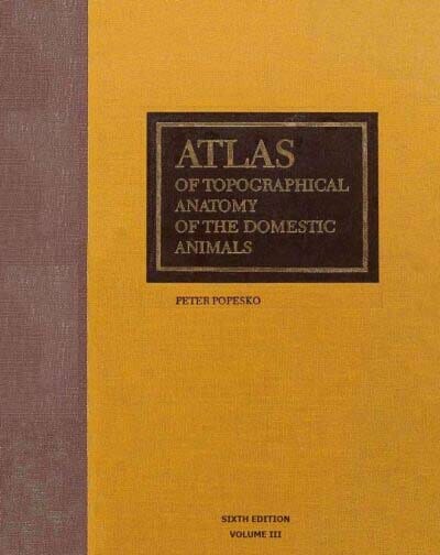 Atlas of Topographical Anatomy of the Domestic Animals, Volume III, Pelvis and Limbs, 6th Edition