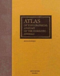 Atlas-of-Topographical-Anatomy-of-the-Domestic-Animals-Voulme-I-Head-and-Neck-6th-Edition