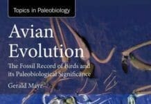 Avian Evolution: The Fossil Record of Birds and its Paleobiological Significance pdf