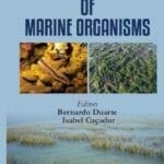 Ecotoxicology-of-Marine-Organisms