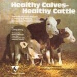 Healthy Calves – Healthy Cattle, The Most Important Diseases in Rearing and Fattening By Ludurg Schrag