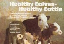 Healthy Calves – Healthy Cattle, The Most Important Diseases in Rearing and Fattening By Ludurg Schrag