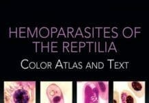 A reptilia hemoparasitesei - Publications A reptilia hemoparasitesei