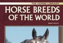 Horse Breeds of the World PDF