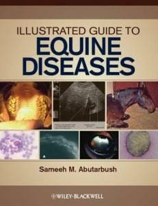 Illustrated-Guide-to-Equine-Diseases