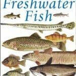 ken schultz's field guide to freshwater fish pdf