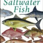 Ken Schultz’s Field Guide to Saltwater Fish By Ken Schultz