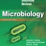 Lippincotts-Illustrated-Reviews-Microbiology-3rd-Edition