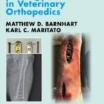 Locking Plates in Veterinary Orthopedics PDF