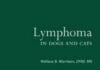 Lymphoma in Dog and Cats