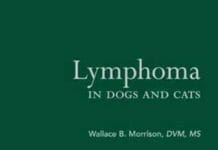 Lymphoma in Dog and Cats- Wallace B. Morrison By Wallace B. Morrison