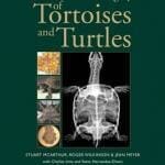 Medicine-and-Surgery-of-Tortoises-and-Turtles