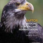 Raptor-Medicine-Surgery-and-Rehabilitation-3rd-Edition