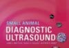 Small Animal Diagnostic Ultrasound 4th Edition PDF