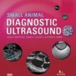 Small Animal Diagnostic Ultrasound 4th Edition PDF