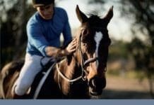 Solving Equine Behaviour Problems: An Equitation Science Approach PDF