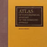 Atlas of Topographical Anatomy of the Domestic Animals, 6th Edition
