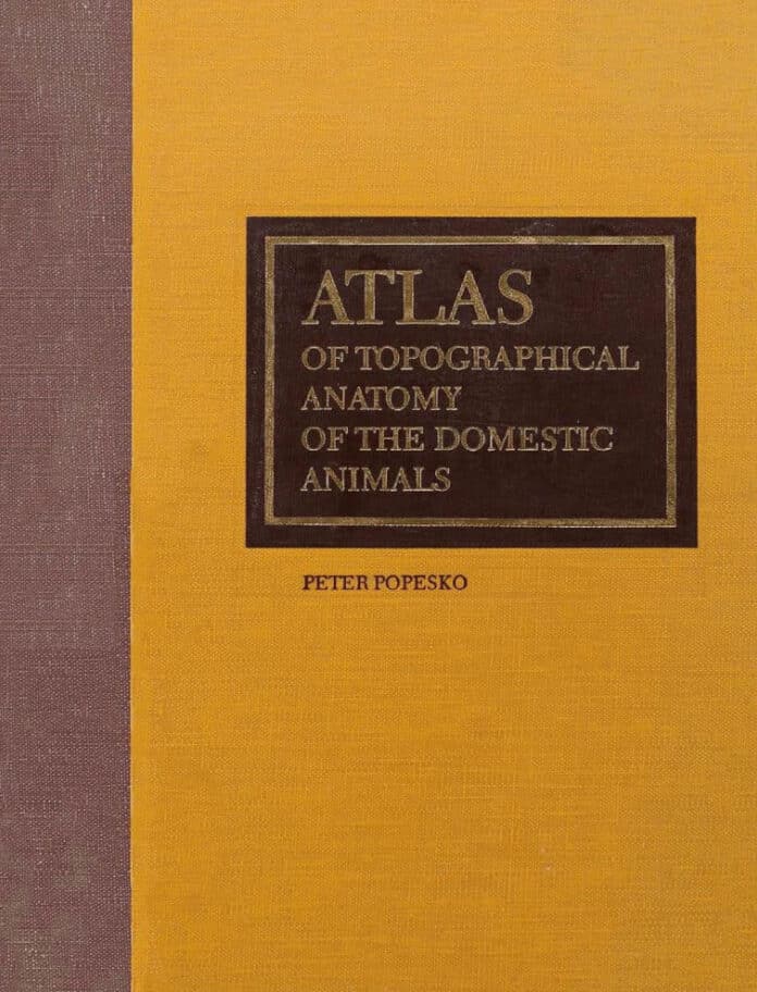 atlas-of-topographical-anatomy-of-the-domestic-animals-volume-i-head-and-neck-6th-edition Atlas of Topographical Anatomy of the Domestic Animals, 6th Edition