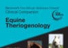 Blackwell’S Five-Minute Veterinary Consult Clinical Companion Equine Theriogenology Blackwell'S Five-Minute Veterinary Consult Clinical Companion Equine Theriogenology Pdf