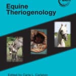 Blackwell's Five-Minute Veterinary Consult Clinical Companion Equine Theriogenology PDF