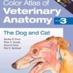 Color Atlas of Veterinary Anatomy, Volume 3- The Dog and Cat 2nd Edition Color Atlas of Veterinary Anatomy, Volume 3, The Dog and Cat, 2nd Edition PDF