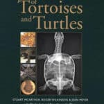 Medicine and Surgery of Tortoises and Turtles PDF Download