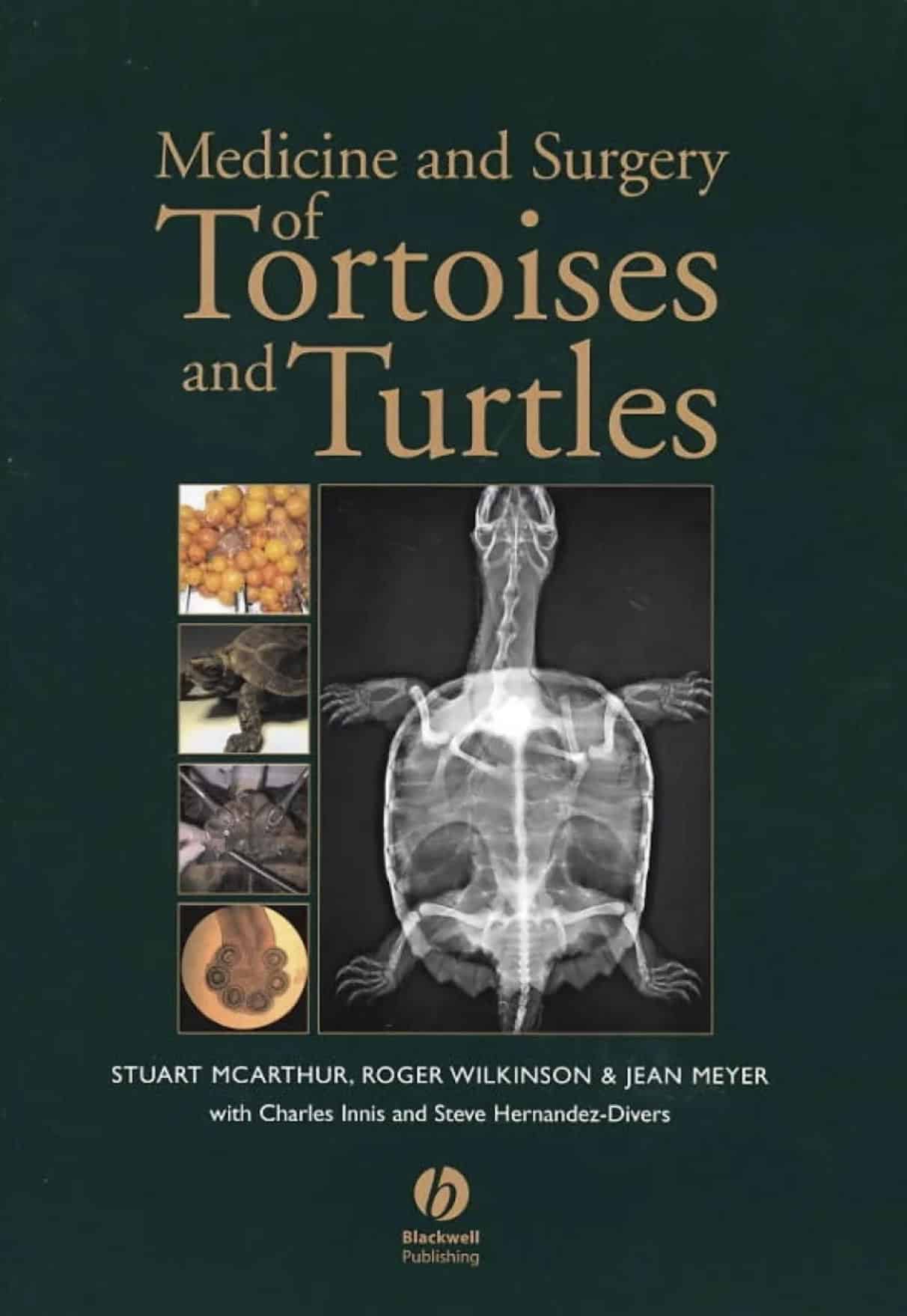 Medicine And Surgery Of Tortoises And Turtles Book Cover