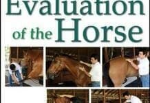 Fitness Evaluation of the Horse PDF By Jean-Pierre Hourdebaigt