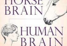 Horse Brain Human Brain PDF By Janet Jones