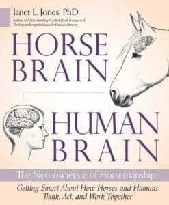 Horse Brain Human Brain PDF By Janet Jones