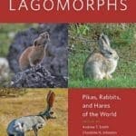 Lagomorphs