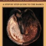 Nevzorov Haute École Hoof Care Principles, A Step by Step Guide to the Basics