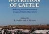 Nitrogen and Phosphorus Nutrition of Cattle: Reducing the Environmental Impact of Cattle Operations