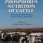 Nitrogen and Phosphorus Nutrition of Cattle: Reducing the Environmental Impact of Cattle Operations