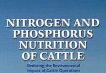 Nitrogen and Phosphorus Nutrition of Cattle: Reducing the Environmental Impact of Cattle Operations