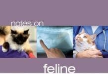 Notes on Feline Internal Medicine 2nd Edition