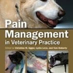 Pain Management in Veterinary Practice PDF
