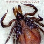 Parasites and Pets: A Veterinary Nursing Guide