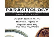 Parasitology: Diagnosis and Treatment of Common Parasitisms in Dogs and Cats