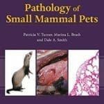 Pathology of Small Mammal Pets PDF