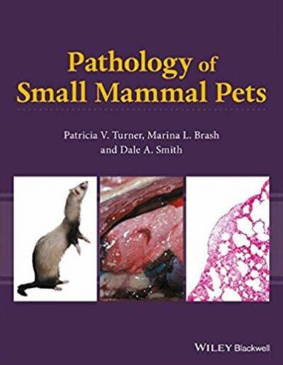 Pathology of Small Mammal Pets PDF