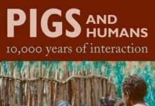 Pigs and Humans: 10,000 Years of Interaction