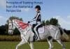 Posture and Performance: Principles of Training Horses from the Anatomical Perspective